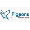Pigeons Ibercare